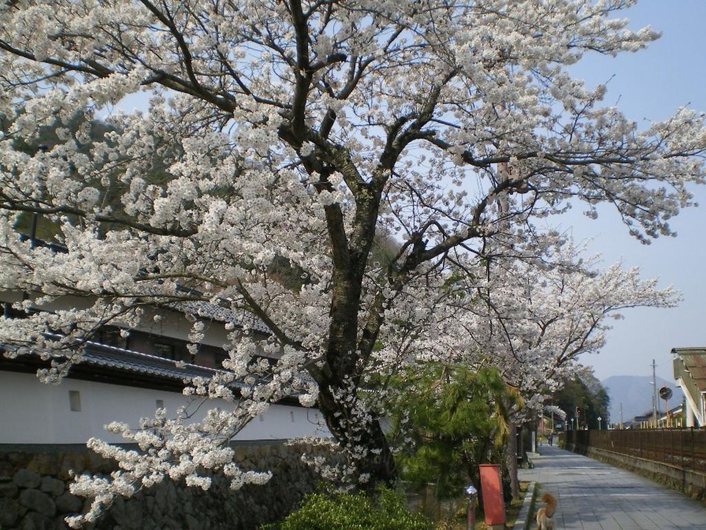 Terakoya Hanatei Asago Bagian luar foto